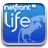 NetFront Life Browser