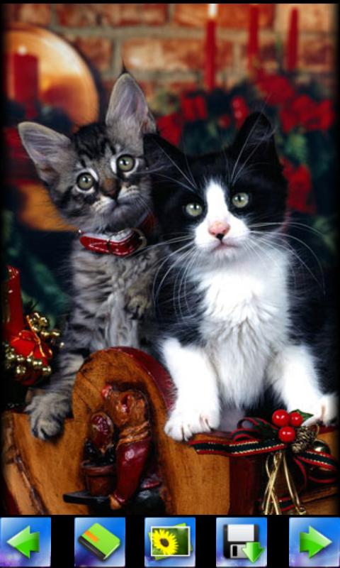 動物クリスマス壁紙