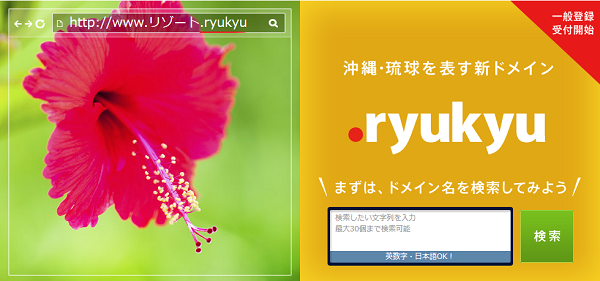 『お名前.com』に琉球を表す新ドメイン「.ryukyu」が登場！